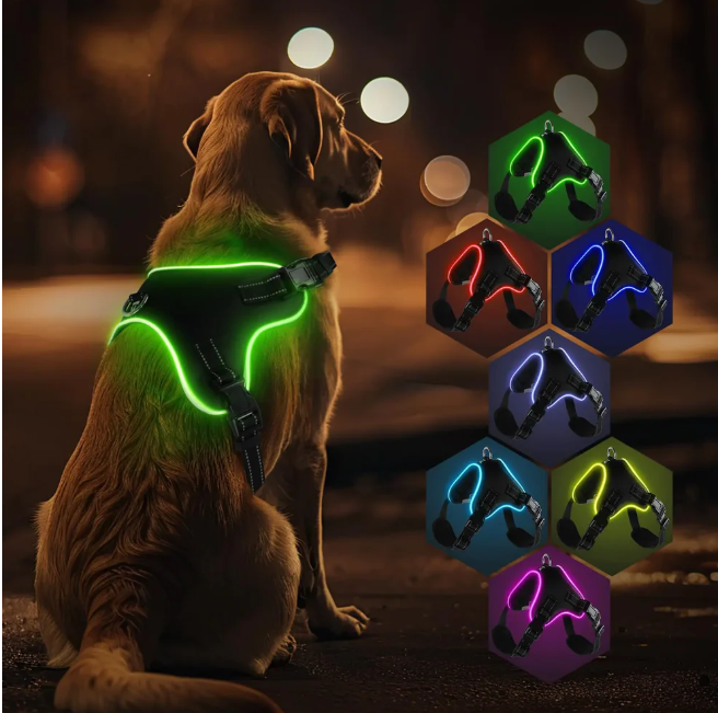 MirtyShop – Pettorina Luminosa LED Ricaricabile per Cani