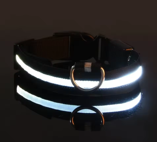 MirtyGlow™ – Collare Luminoso per Cani