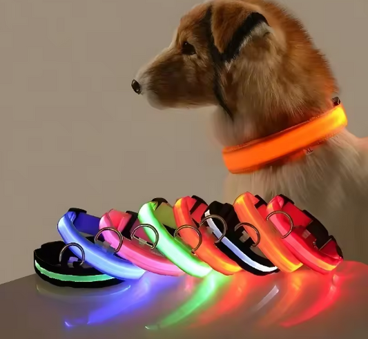 MirtyGlow™ – Collare Luminoso per Cani