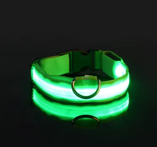 MirtyGlow™ – Collare Luminoso per Cani