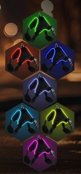 MirtyShop – Pettorina Luminosa LED Ricaricabile per Cani