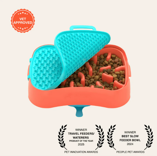 MirtyShop: Ciotola 4-in-1 Anti-Ingozzo per Cuccioli