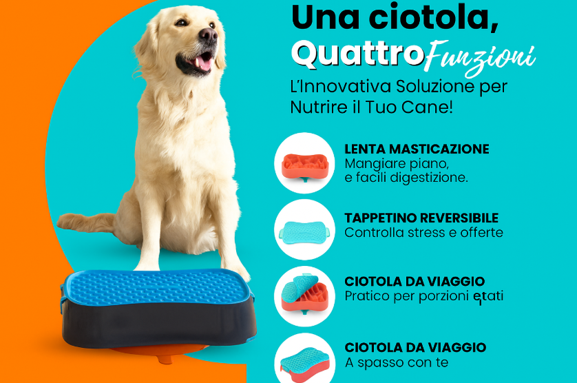 MirtyShop: Ciotola 4-in-1 Anti-Ingozzo per Cuccioli